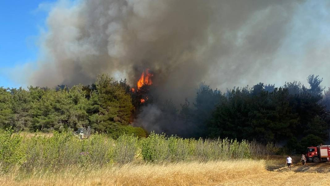 Çanakkale'deki Tarihi Alan'ın güney hattı ziyarete açıldı! Orman yangınında kapatılmıştı - Resim: 9